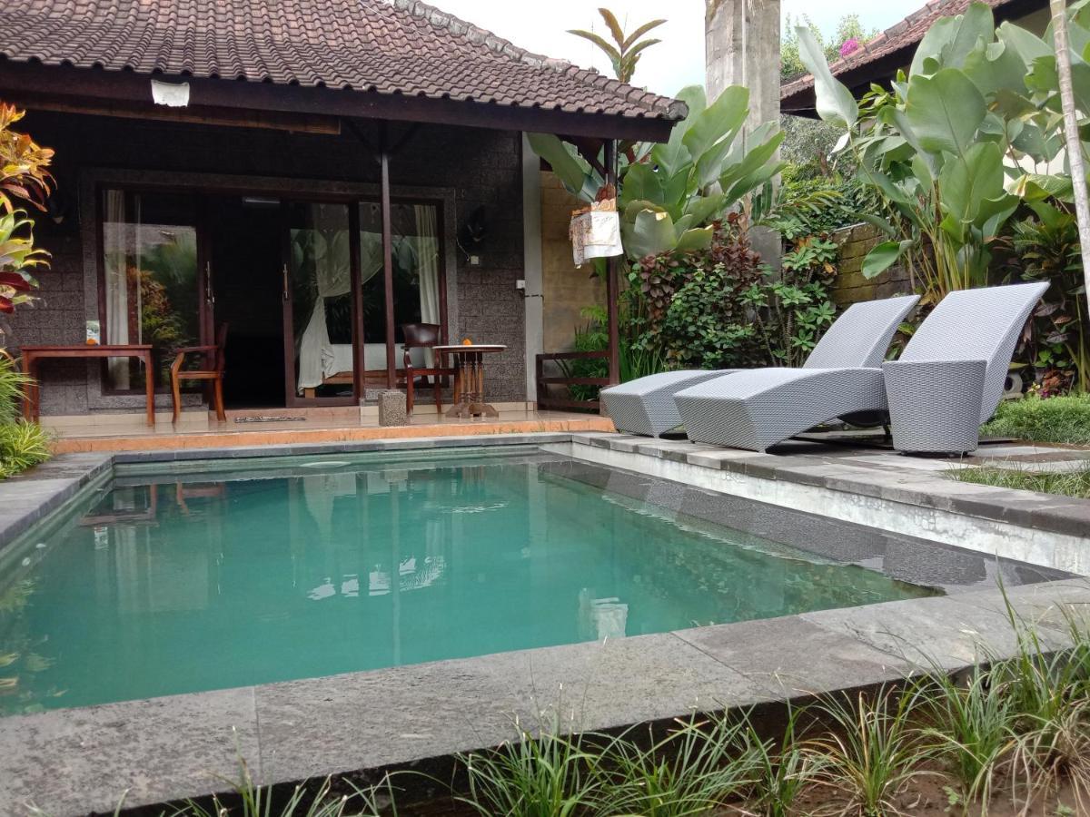 Dedik House Villa *