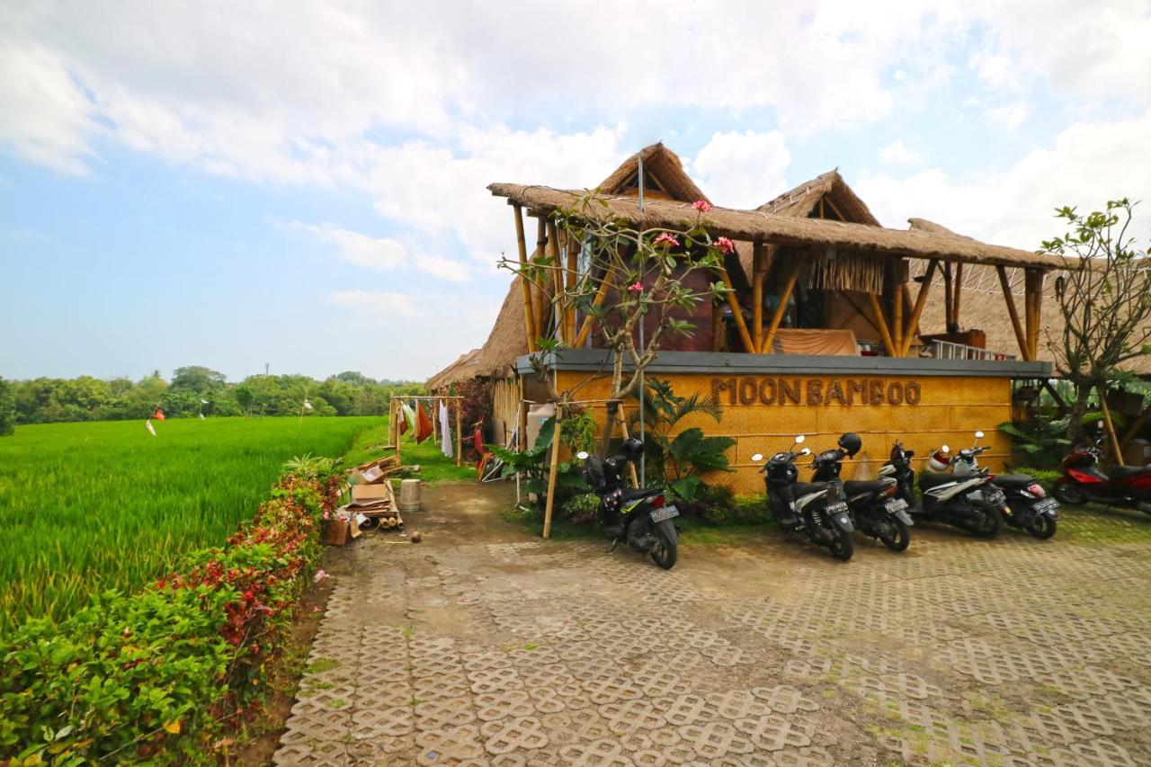 Homestay Moon Bamboo *