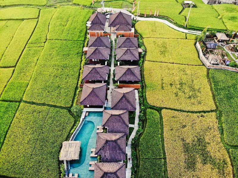 Kayangan Ubud Villa Tegallalang (Bali)