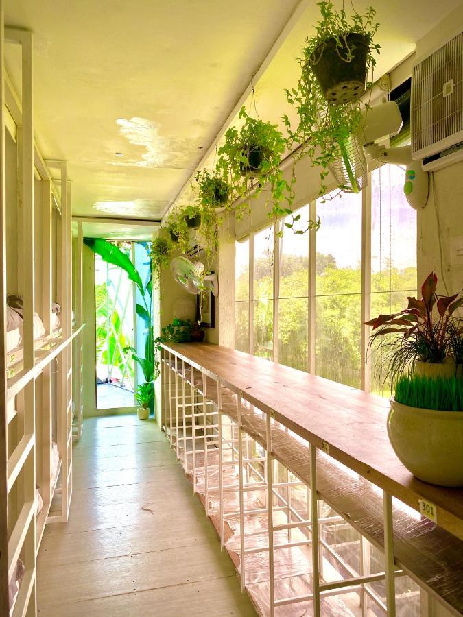 The Hide At (adults Only) Hostel
