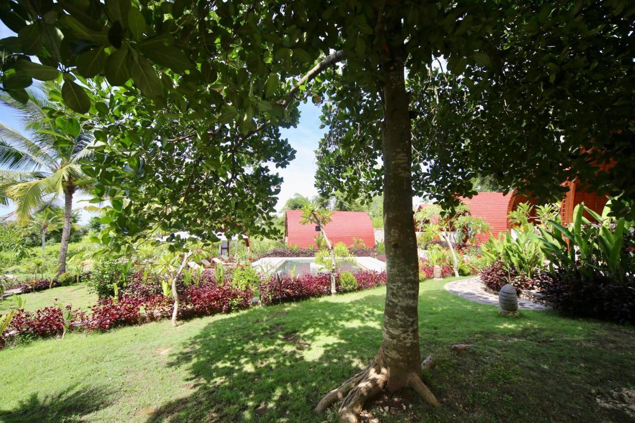 Holiday park Jungle Paradise 3*