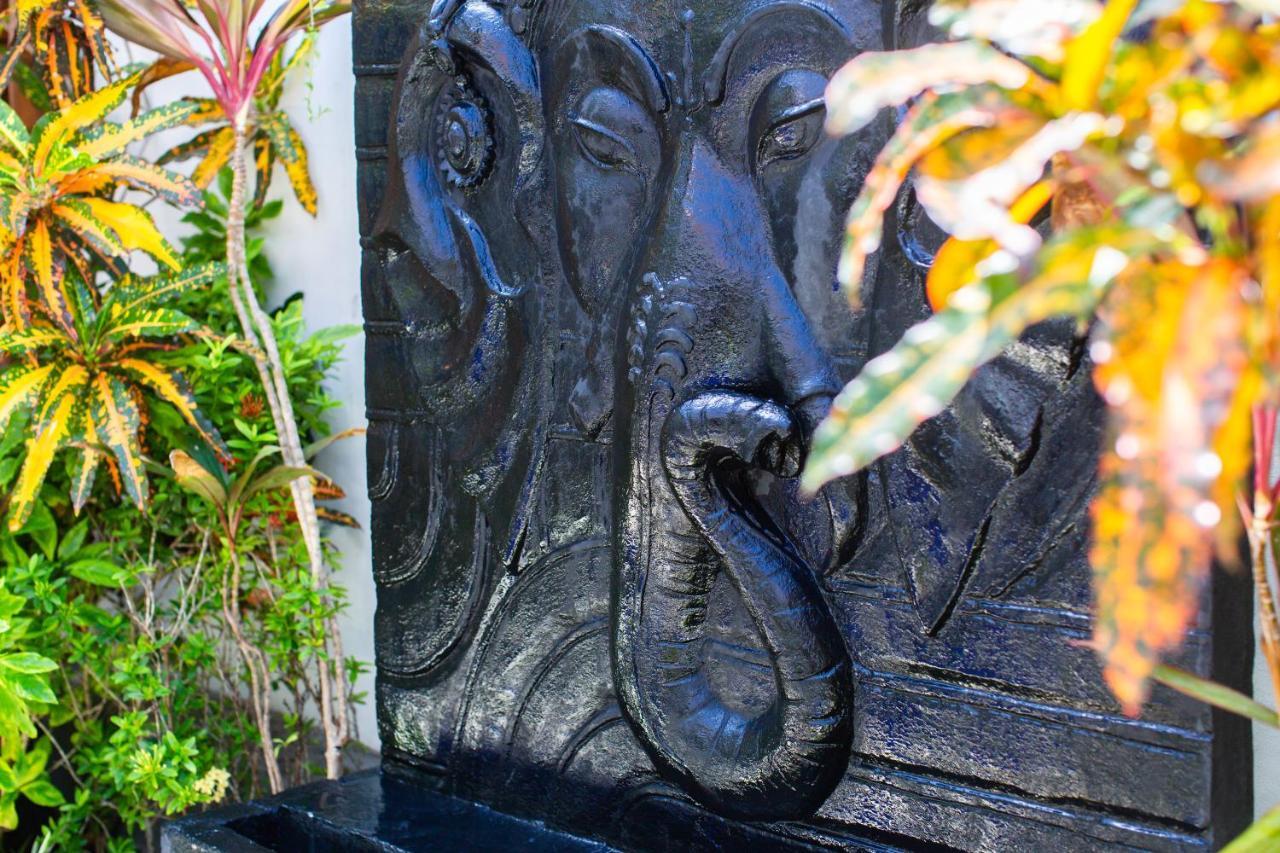 Masbro Art Villa