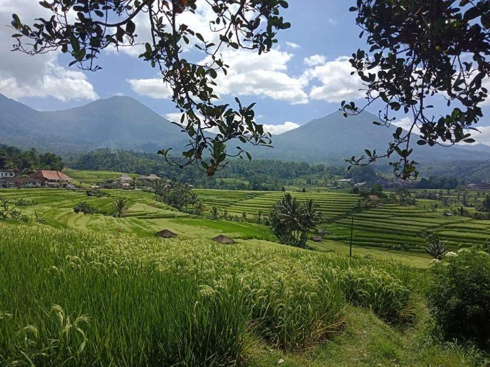 Homestay D'puja And