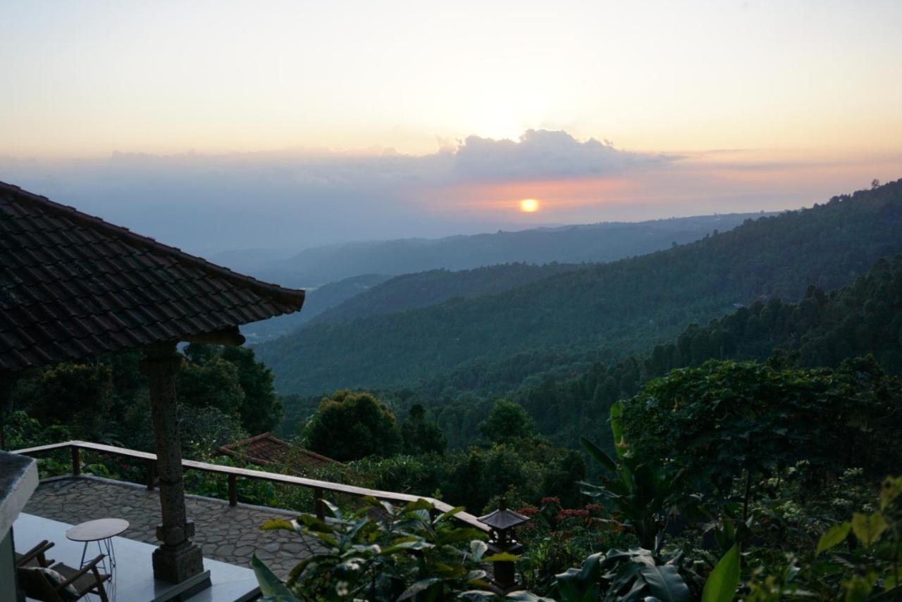 Homestay Aryautama Garden Munduk (Bali)