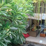Alia Home