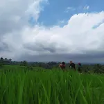 Tegal Jero Homestay