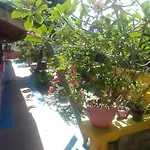 Alola Inn