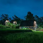 The Tetamian Bali