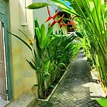 Zoe Villa Canggu Bali