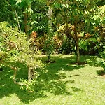 Artja Inn Ubud