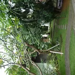 Arca Bungalow