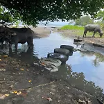 Villa Mawar