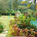 Amartya Puri Green Cottages