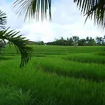 Jonsen Homestay