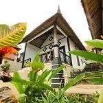 Warung Ary & Home Stay
