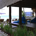Molamola House