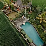 Padi Bali Eco Villas