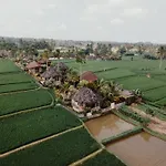 Padi Bali Eco Villas