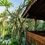 Madani Antique Villas