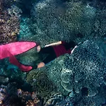 Ashyana Candidasa Beach Resort