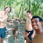 Ayolah Surf House &Surf Camp