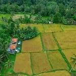 The Alus Cottage And Villa