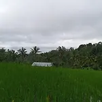 Pranamastra Bali