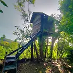 Rumah Pohon