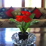 Bodat Villa