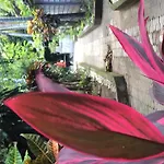 Bali Guest Villas
