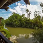 Easy Surf Dacha