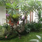 Jepun Bali Homestay Sanur