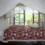 Papaya Guesthouse