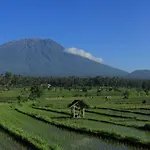 Bali Butterfly Villas
