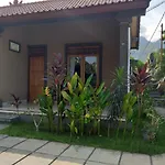 Griya Ayu Homestay Pemuteran