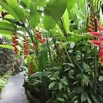 Citrus Tree B&B - Hutama