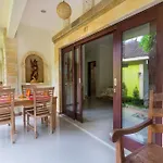Pazzo Bali