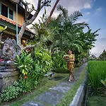 Villa Nini