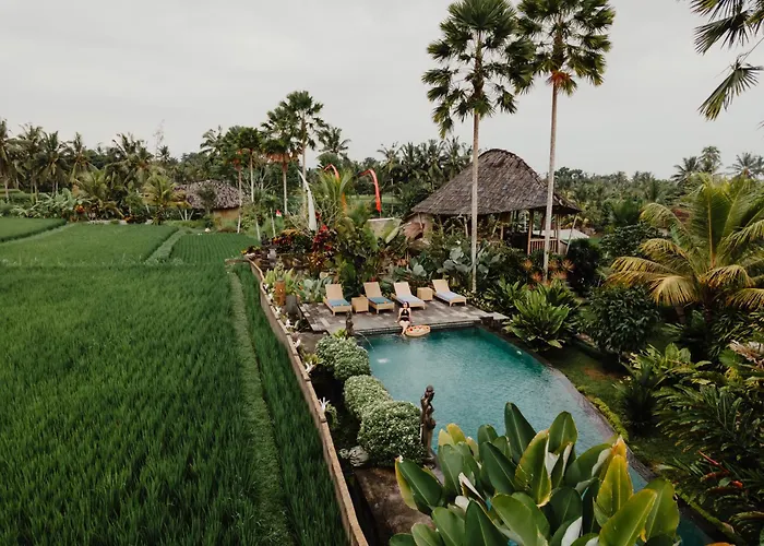Padi Bali Eco Villas