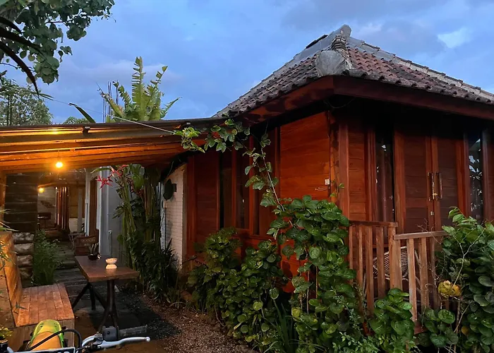 Ayolah Surf House &Surf Camp