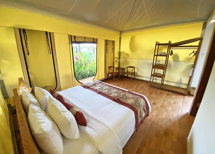Paddy\'S Glamping