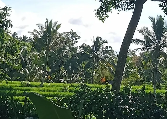 Pranamastra Bali
