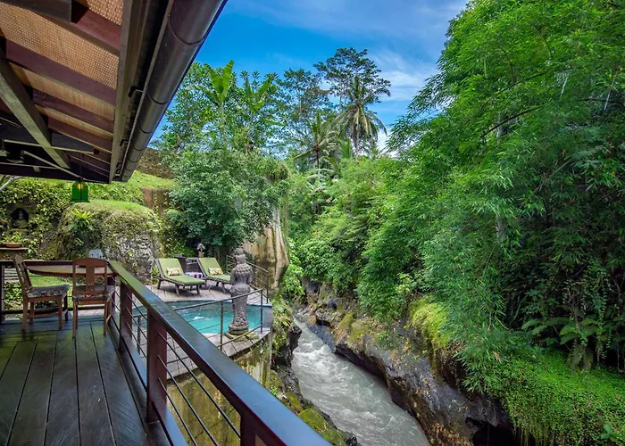 Lumina Wellness Retreat