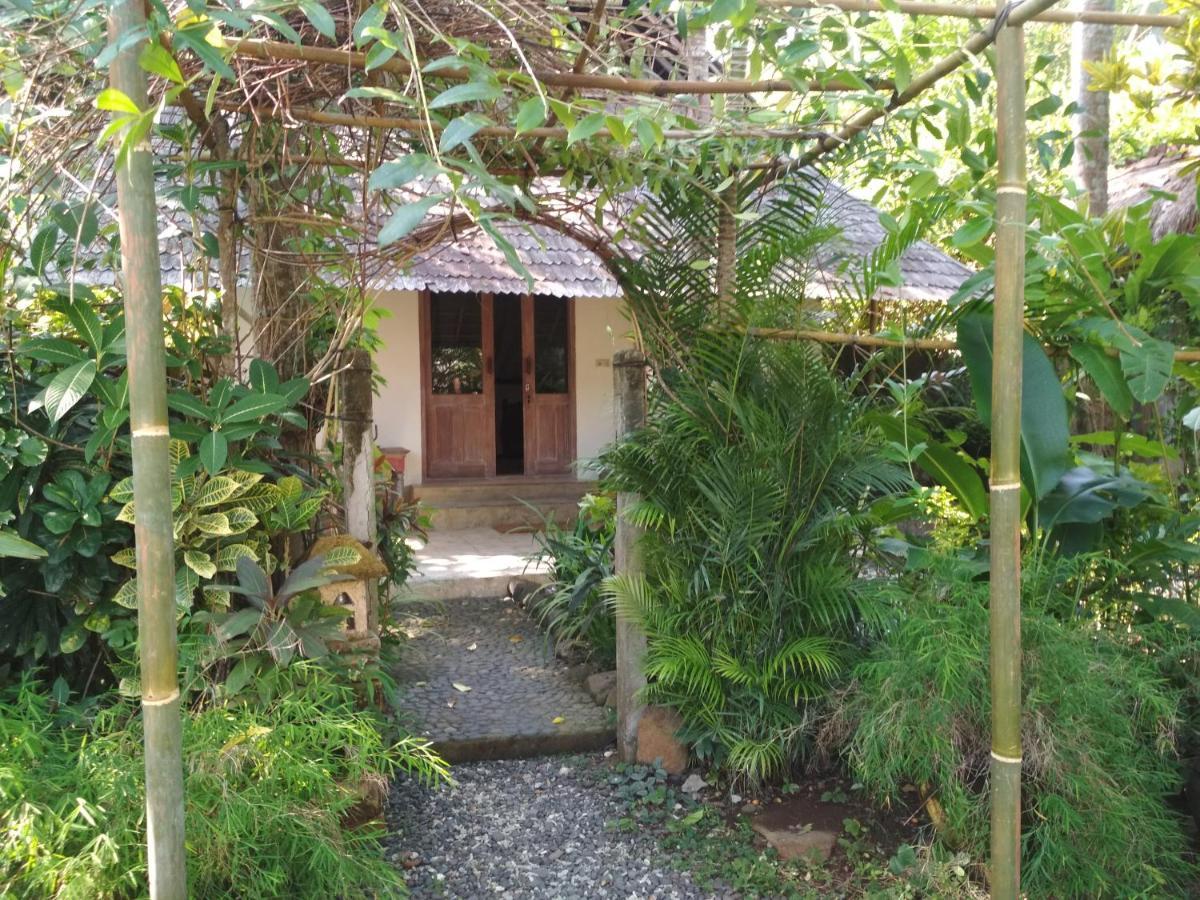 Pisang Taman liburan 3*