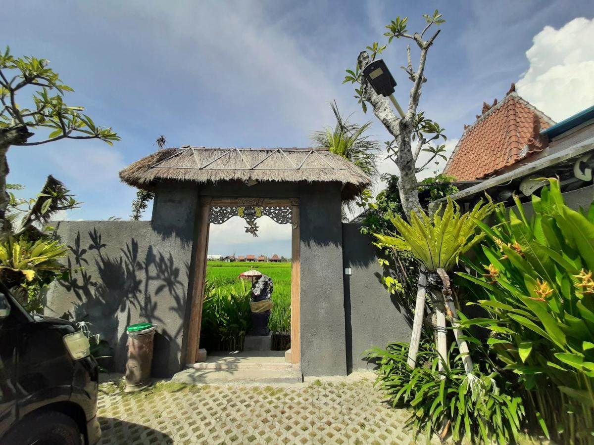 Guest house Alisha Pererenan