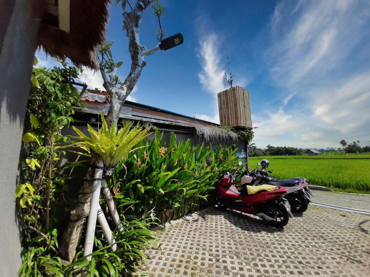 Guest house Alisha Pererenan