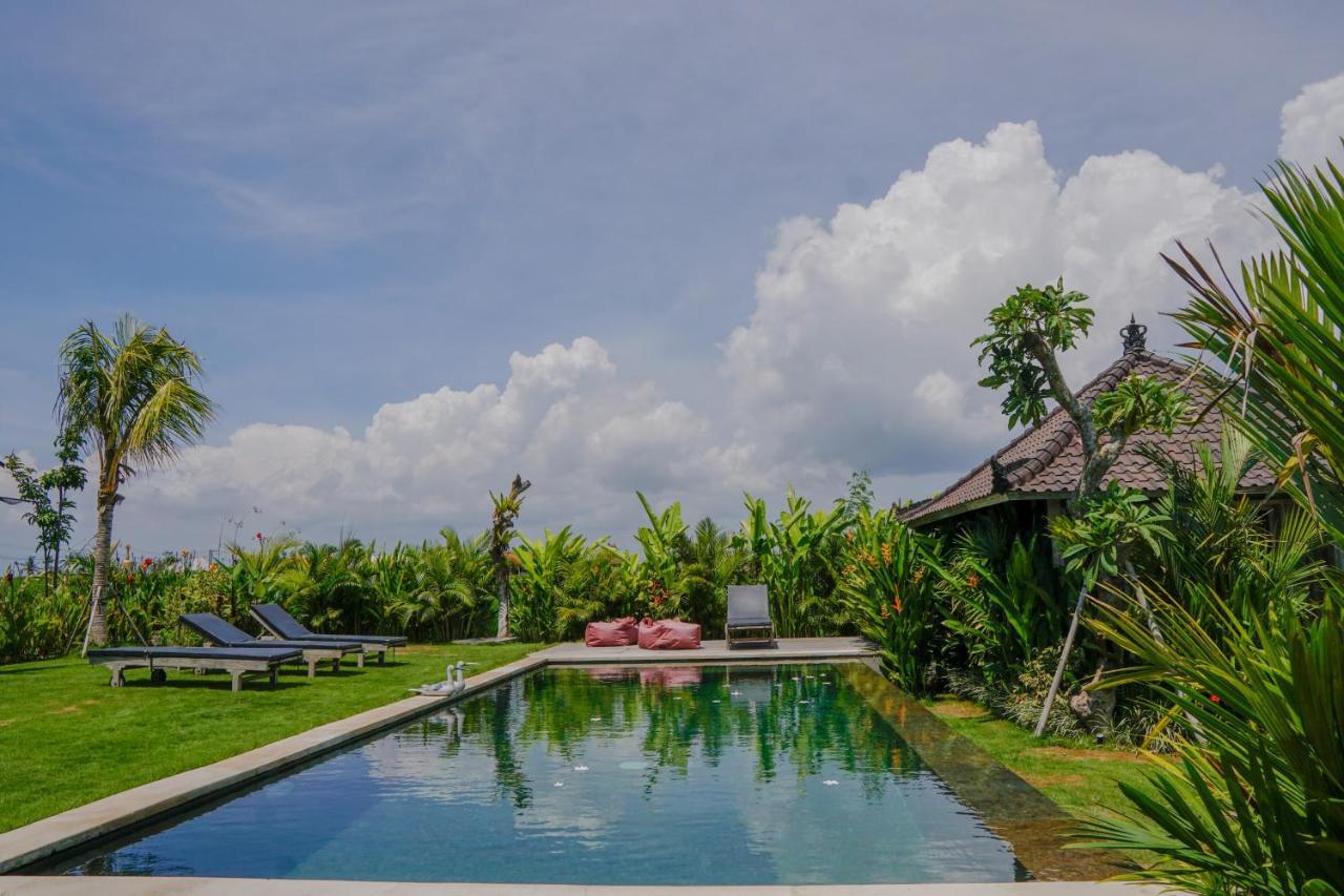 Alisha Pererenan Guest house