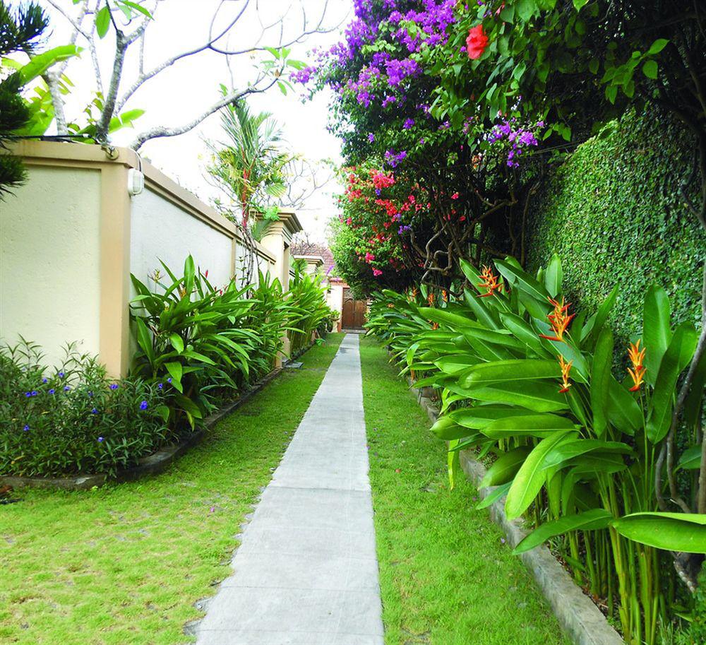 Heliconia * Seminyak (Bali)