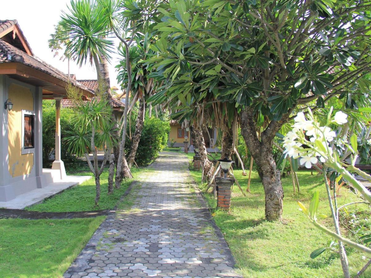 Suji Kuta (Bali)