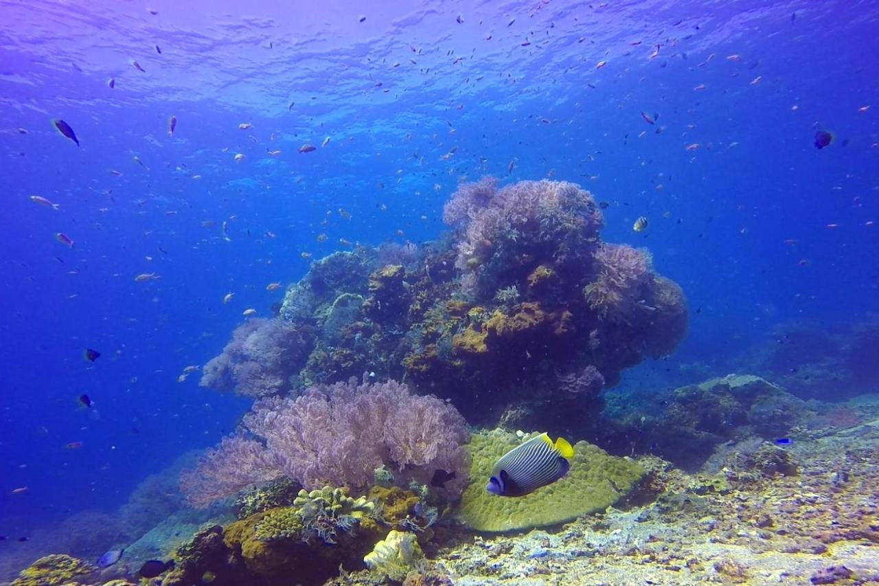 Selang 3* Amed (Bali)